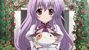 #8 こねこ色の黒と白