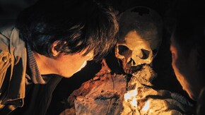 第6話 ケガの功名