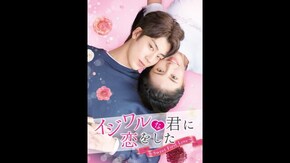予告編