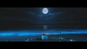 第29話 最後の夜に