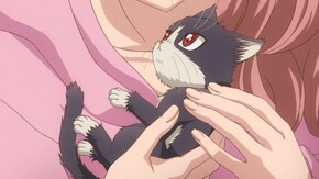 第5話 君に伝えたいこと