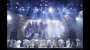 『COCOON』星ひとつ