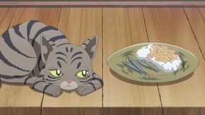 第7話 化け猫の来訪