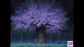 第17話 おばけ桜の下で