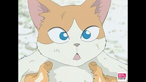 第19話 走れメロン