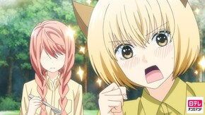 episode☆8 オレにはキャンプがハイレベルイベントだった件について。