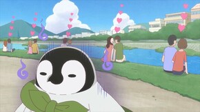 第6羽