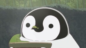 第8羽