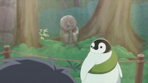 第19羽