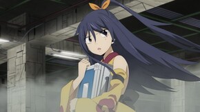 #29 29号