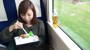 #10 天竜川としらす弁当