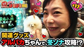 #17 鬼奴の新開運グッズアルパカちゃんで、冬ソナを攻略!?