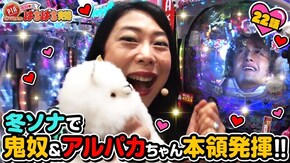 #22 冬ソナで鬼奴&アルパカ本領発揮!!