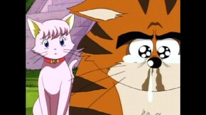 第5話 仁義なき猫戦争!