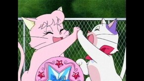 第43話 冬の日の迷い猫