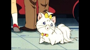 第3話 家出した隣の太ったお嬢様!?