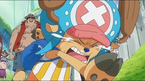 第519話 海軍出動 狙われた麦わらの一味