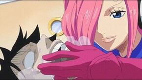 第785話 猛毒の危機 ルフィとレイジュ