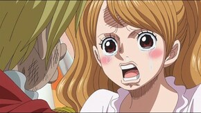第810話 冒険の終わり サンジ決意のプロポーズ