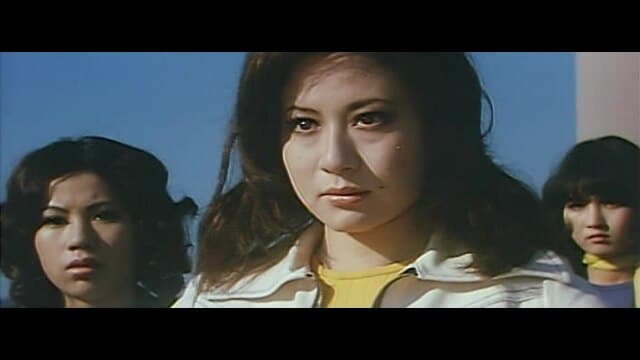 Amazon.co.jp: ub42537『女番長ブルース 牝蜂の挑戦』spポスター