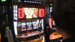 #776 魔法少女まどか☆マギカ2/熊酒場2丁目店/サンダーVリボルト/クランキーセブレーション/エヴァンゲリヲン~勝利への願い~/戦国コレクション2