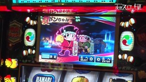 #952 ドンちゃん2/アレックス