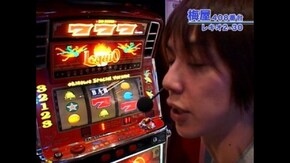 #101 ニュートリプルクラウン30/サンサンハナハナ30/レキオ2-30