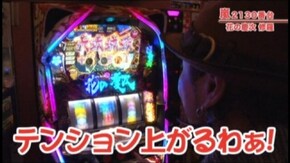 #235 戦国パチスロ 花の慶次~これより我ら修羅に入る~/パチスロ交響詩篇エウレカセブン2