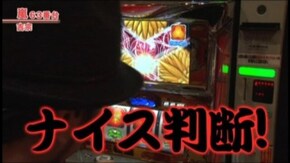 #253 吉宗/パチスロ化物語/ニューパルサーSP/クランキーコレクション