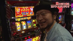 #475 シークレットハイビスカス/カンフーレディ・テトラ