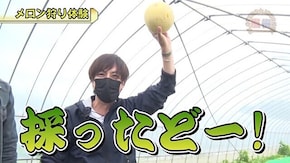 #663 沖ドキ!DUO,ハナハナホウオウ~天翔~‐30