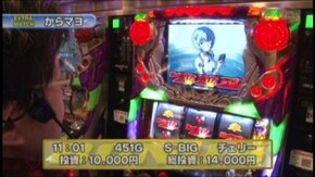 #243 ヱヴァンゲリヲン~生命の鼓動/ニューパルサーSP/ジャグラーガールズ/クラン