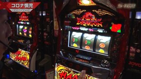 #530 ツインドラゴンハナハナ‐30/アレックス/グレートキングハナハナ‐30