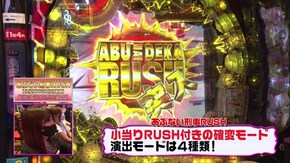 #314 Pあぶない刑事