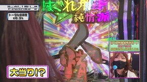 #333 Pはぐれ刑事純情派