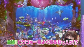 #337 Pスーパー海物語 IN 沖縄5 夜桜超旋風