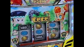 #434 緑ドンVIVA!情熱南米編