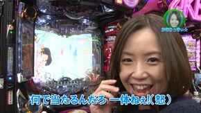 #231 CRぱちんこ AKB48‐3 誇りの丘/パチスロ交響詩篇エウレカセブン2/CRルパン三世 LAST GOLD