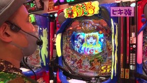 #481 P大海物語4スペシャル/PAわんわんパラダイスV/ぱちんこ ウルトラマンタロウ2
