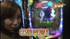 #22 CRぱちんこAKB48/CRぱちんこAKB48 バラの儀式/パチスロ戦国BASARA3/CRルパン三世~消されたルパン~394ver./ヱヴァンゲリヲン~決意の刻~