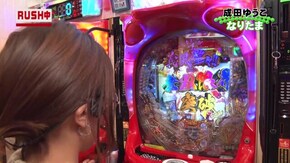 #143 ぱちんこ 新・必殺仕置人/P義風堂々!!~兼続と慶次~2 M6‐X/パチスロ聖闘士星矢 海皇覚醒/ぱちんこCR真・北斗無双/パチスロ黄門ちゃま 喝/CR FAIRY TAIL FPM ほ