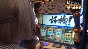 #179 P緋弾のアリア ~緋弾覚醒編~/ぱちんこ AKB48 桜 LIGHT ver./マイジャグラーIV/政宗3/Pバジリスク~甲賀忍法帖~2 朧の章