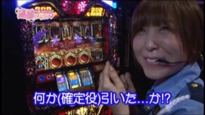 #47 アナザーゴッドハーデス-奪われたZEUSver.-/バジリスク~甲賀忍法帖~絆/ハナビ/バーサス/サンダーVリボルト