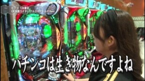 #29 CRぱちんこ仮面ライダー フルスロットル RS319ver./CRルパン三世~Lupin The End~/CRスーパー海物語IN沖縄4MTC
