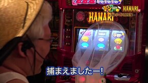 #68 ドンちゃん2/ハナビ通