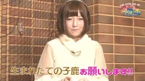 その(7)