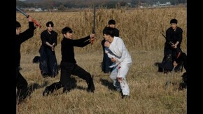 朝鮮の拳