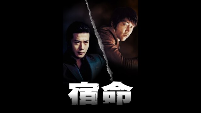 プレビュー