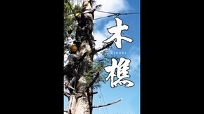 予告編