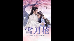 予告編